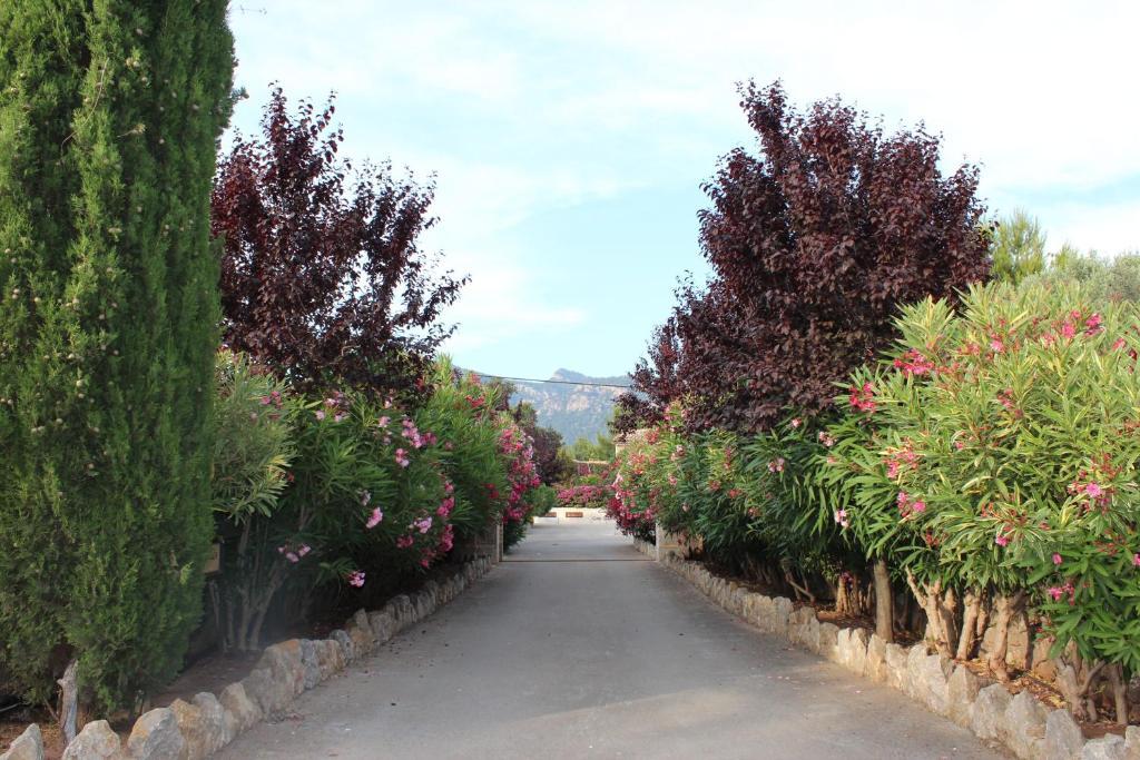 Ca'S Garriguer Villa Valldemossa  Exterior photo